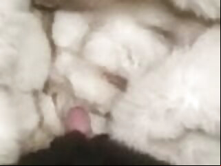 cumshot fur