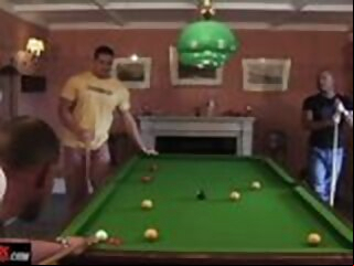 pool alphamales
